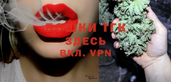 спайс Инсар