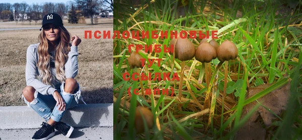 спайс Инсар