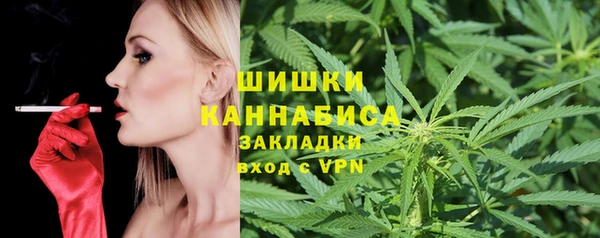 спайс Инсар
