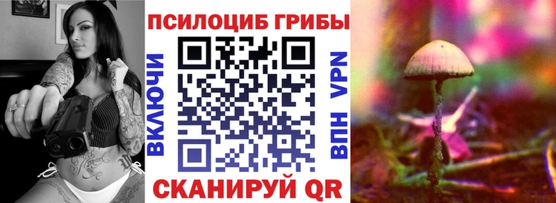 Купить где  Дивногорск  Псилоцибиновые грибы MAGIC MUSHROOMS 