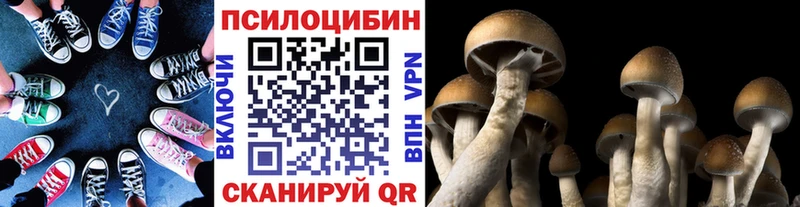 Галлюциногенные грибы мухоморы Дивногорск