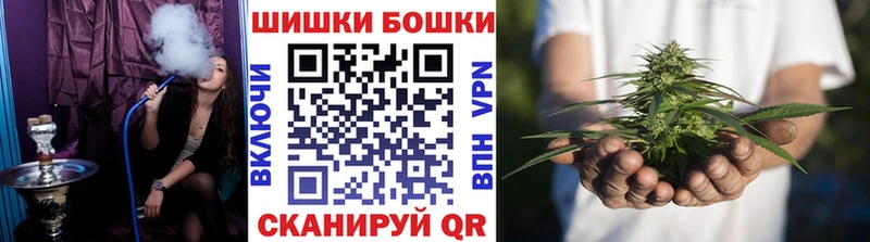 Купить где  Дивногорск  Канабис семена 